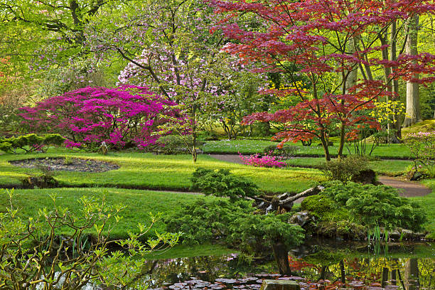 istock Colorful Japanese garden 185017815