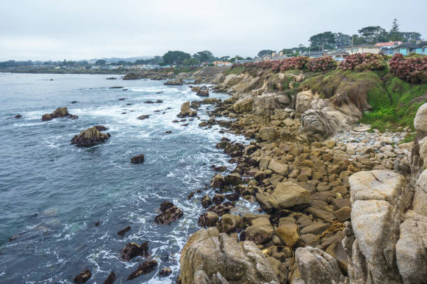 istock Monterey Bay. Beautiful rocky beach, and beautiful Pacific ocean 1850179606