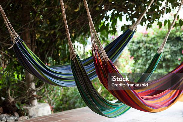 Lazy Vacations In Hammocks Stock Photo - Download Image Now - Coastline, Comfortable, Formal Garden
