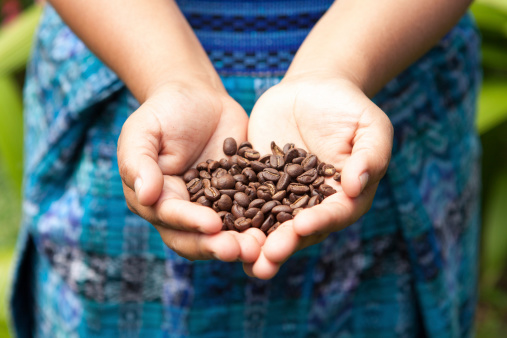 Handful of fresh organic coffee beans. Food and drink background.