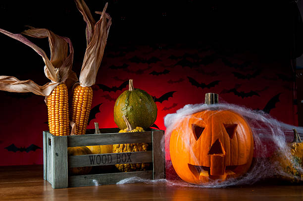 istock Halloween pumpkin in atmospheric light 185018627