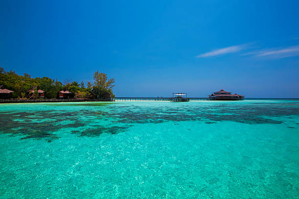 ilha lankayan - sipadan island imagens e fotografias de stock