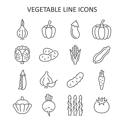 Vegetable line icon set. Salad ingredient symbol. Vector collection with onion, pepper, pumpkin, potatoes, cabbage, carrots, tomatoes, corn.