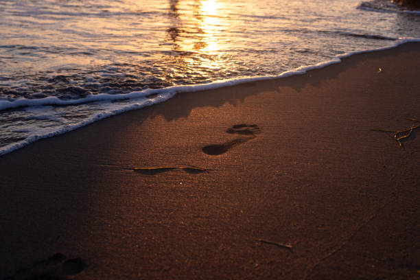 A foam wave on a golden beach. Sunny path, footprints