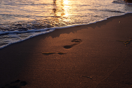 A foam wave on a golden beach. Sunny path, footprints