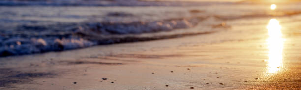 istock Banner a low sea wave rolls onto the beach at sunset. A sunny path 1850207792
