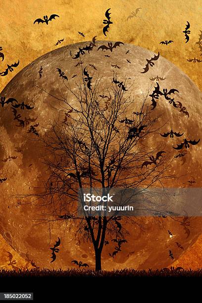 Halloween Background Stock Photo - Download Image Now - Animal Body Part, Animal Eye, Animal Markings