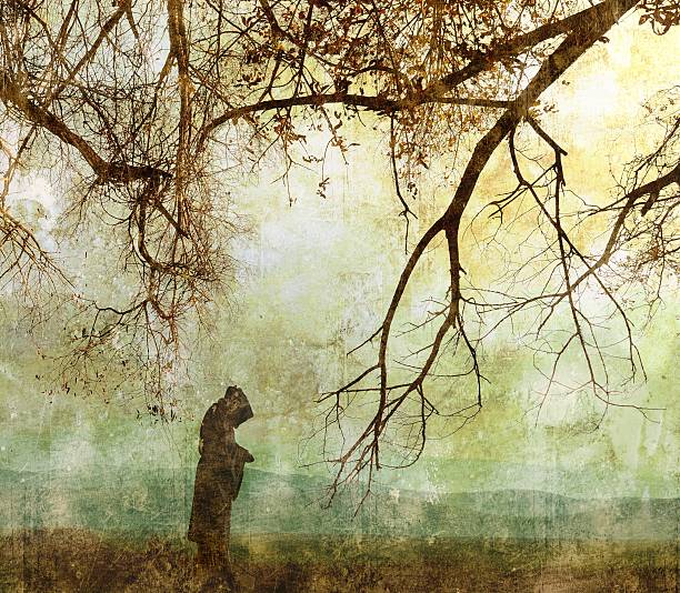Tall old trees of gloomy forest in early spring and the intersection of unpaved forest roads. Mysterious enchanted forest in early spring