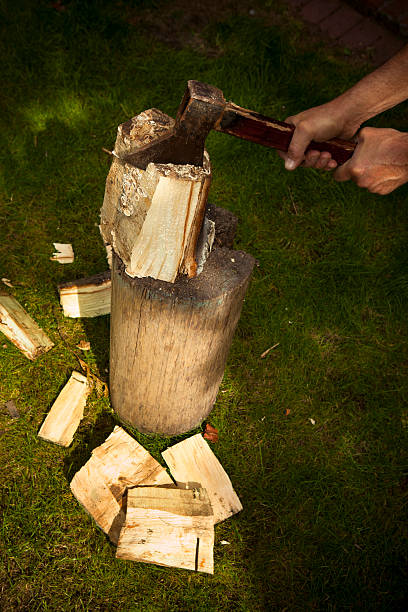 istock Chopping wood with an ax 185024487