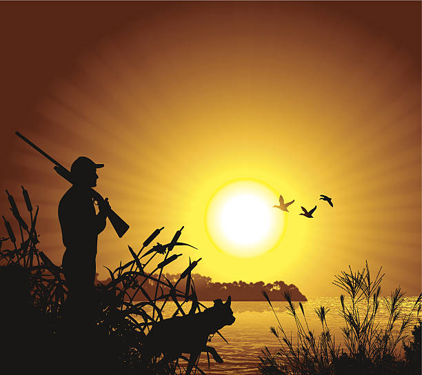 Duck Hunter at Sunset Background Duck Hunter. Graphic silhouette background illustration of a Duck Hunter. Check out my "Flaming Sports Balls and More" light box. dog pointing stock illustrations