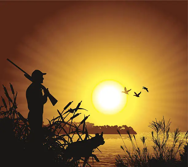 Vector illustration of Duck Hunter at Sunset Background