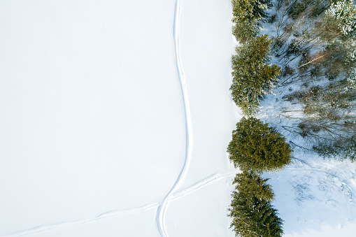 top view of the field and trees covered with snow. a path in the field between the forest. trampled the road in the snow