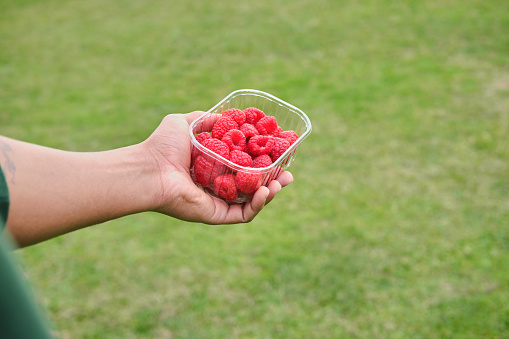 creative, minimalistic, colorful and funny side view of a young male hand holding a to-go meal with grass of a park background