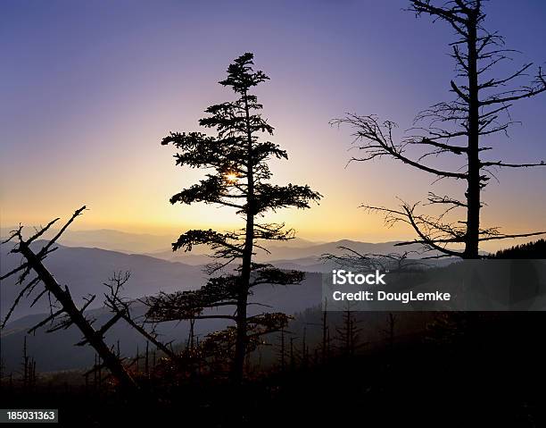 La Cupola Di Clingman Tramonto - Fotografie stock e altre immagini di Albero - Albero, Ambientazione esterna, Appalachia