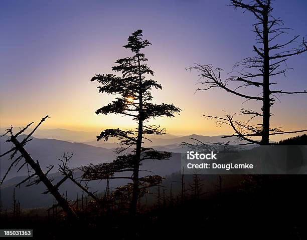 Foto de Clingmans Dome Pôrdosol e mais fotos de stock de Appalachia - Appalachia, Bosque - Floresta, Carolina do Norte - Estado dos EUA