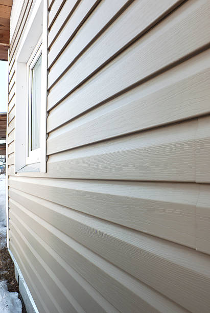 istock Wall  finished in vinyl siding 185031958