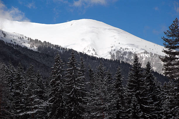Montanha Pirin, Bulgária - fotografia de stock