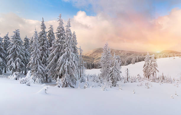 istock winter sunrise in the Carpathian mountains 185032601