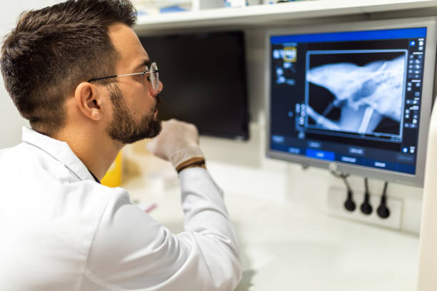 istock A radiologist looks at an x-ray image in his lab 1850329050