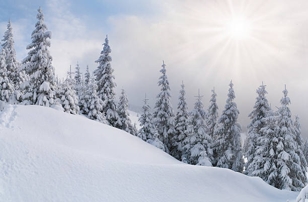 istock snowstorm in the Carpathian mountains 185033696