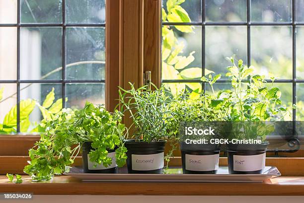 Herbs On A Windowsill Stock Photo - Download Image Now - Herb, Window Sill, Kitchen