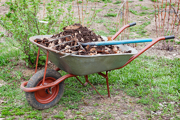 istock Humus mixed with oak leaf in wheelbarrow 185034801