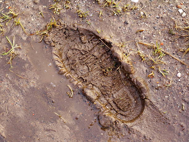 footprint rain footprint rain wet autumn mud footprint photos stock pictures, royalty-free photos & images