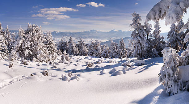 istock winter landscape in the Carpathian mountains 185034913