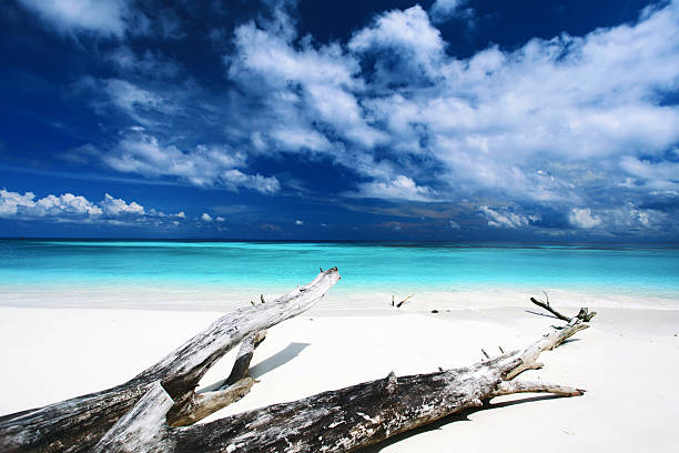 beautiful white sand beach stock photo