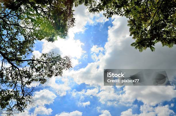 Nube En El Cielo Azul Foto de stock y más banco de imágenes de Abstracto - Abstracto, Aire libre, Azul