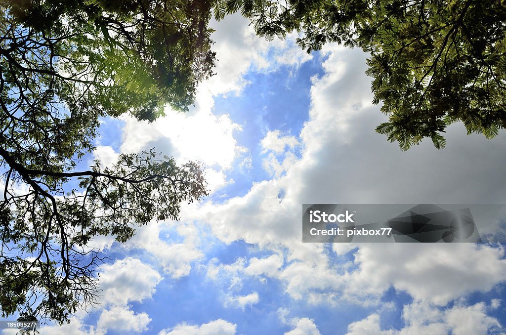 Nuvola nel cielo blu - Foto stock royalty-free di A mezz'aria