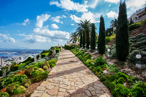 Bahai Gardens (Bahai Bab) in Haifa city on  steep slope of Carmel Mount with garden path and tropical plants.  Wonderful views of the city and the Mediterranean Sea.   Sunny  day during the Christmas holidays!