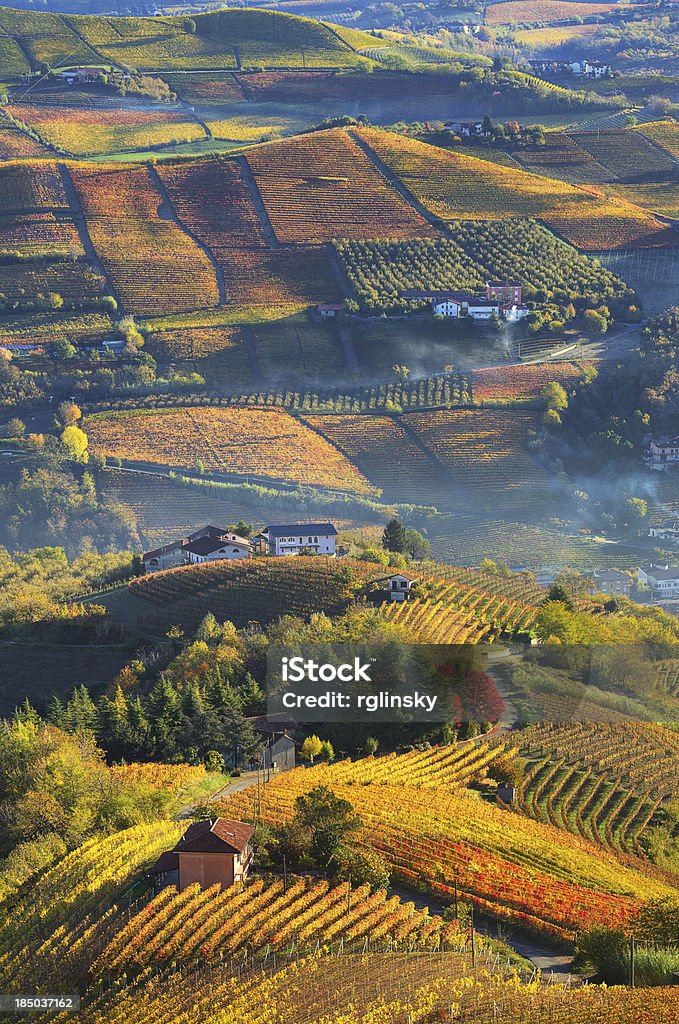 Rural houses and autumnal vineyards in Piedmont, Italy. Vertical oriented image of rural houses on autumnal hills among vineyards of Langhe in Piedmont, Northern Italy (view from above). Langhe Stock Photo