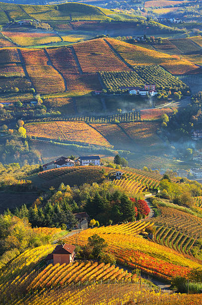 Rural houses and autumnal vineyards in Piedmont, Italy. Vertical oriented image of rural houses on autumnal hills among vineyards of Langhe in Piedmont, Northern Italy (view from above). langhe photos stock pictures, royalty-free photos & images