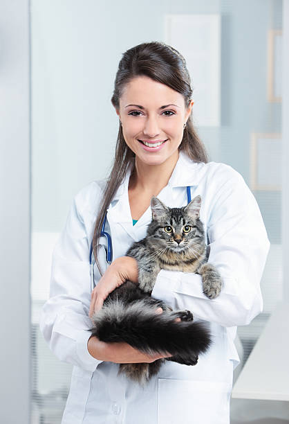 zdrowe cat - portrait animal hospital embracing holding zdjęcia i obrazy z banku zdjęć