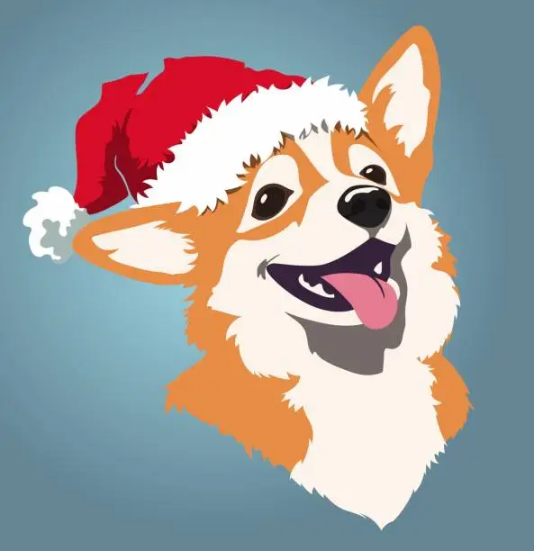 Vector illustration of Corgi dog wearing a Santa hat
