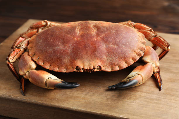 istock One delicious boiled crab on wooden board 1850421554