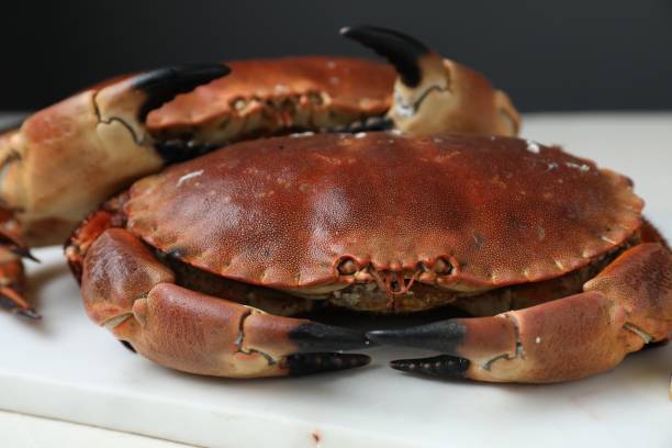 istock Delicious boiled crabs on white table, closeup 1850421616