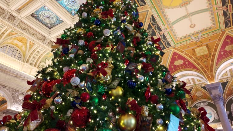 Library of Congress Great Hall Christmas Tree  in Washington, DC