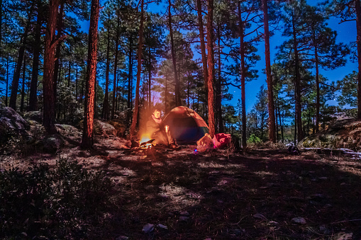 Hombre acampando con fogata en un bosque de noche en creel Chihuahua