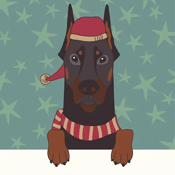 Vector illustration of Dobermann in Xmas Cap