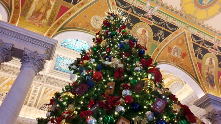 Library of Congress Great Hall Christmas Tree  in Washington, DC