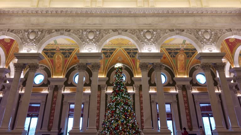 Library of Congress Great Hall Christmas Tree  in Washington, DC