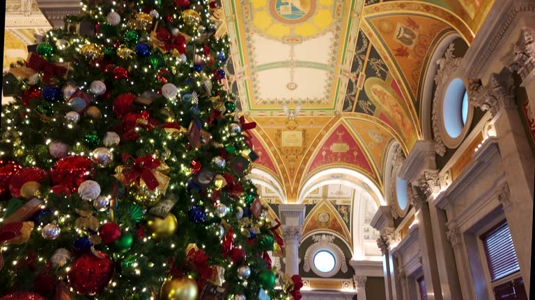 Library of Congress Great Hall Christmas Tree  in Washington, DC
