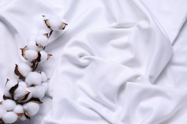 istock Cotton branch with fluffy flowers on white fabric, top view. Space for text 1850482683