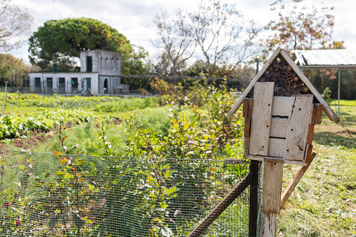 Insect hotel in an organically grown orchard