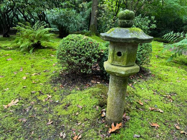 istock Stone lantern, bright moss, plants and fallen leaves in Japanese garden 1850491624