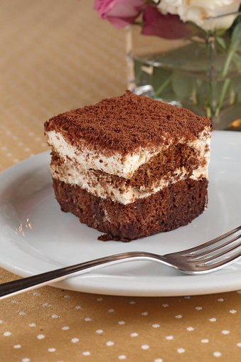 Tiramusu, classic Italian dessert with cream, chocolate cake and cocoa powder