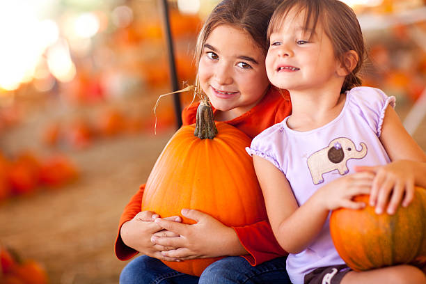 süßes kleines mädchen hält ihre kürbisse auf einem kürbis patch - pumpkin child little girls pumpkin patch stock-fotos und bilder