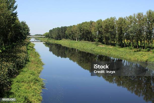 Foto de Paisagens De Rio e mais fotos de stock de Animal selvagem - Animal selvagem, Azul, Canal